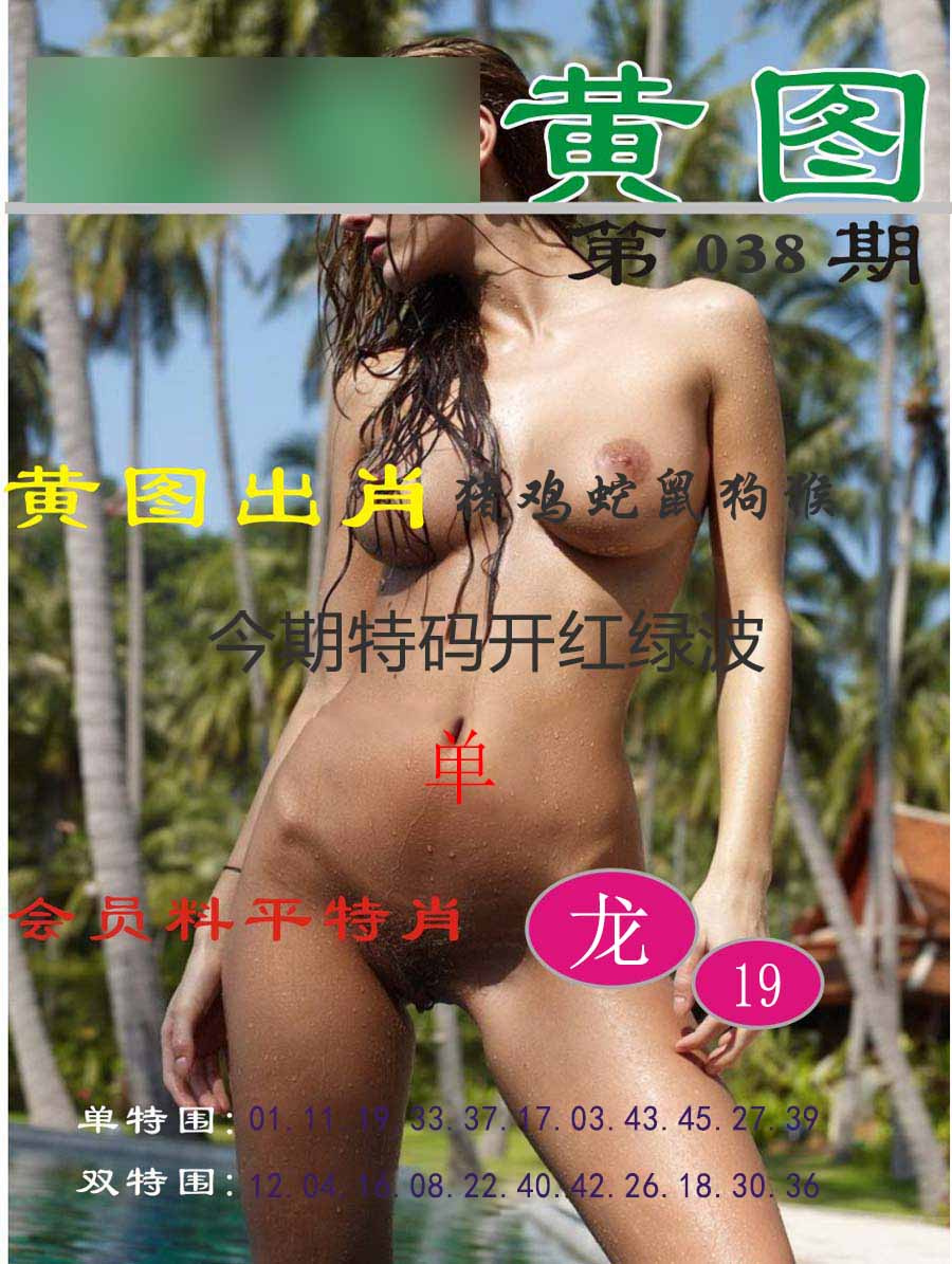 038期黄图[图]